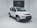 Fiat Panda 1.0 Gse Hybrid Blanc - thumbnail 12