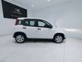 Fiat Panda 1.0 Gse Hybrid Blanc - thumbnail 13