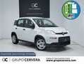 Fiat Panda 1.0 Gse Hybrid Bianco - thumbnail 1