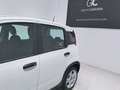 Fiat Panda 1.0 Gse Hybrid Blanc - thumbnail 11
