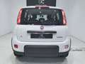 Fiat Panda 1.0 Gse Hybrid Blanco - thumbnail 17