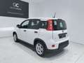 Fiat Panda 1.0 Gse Hybrid Blanco - thumbnail 18