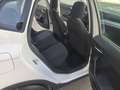 SEAT Arona 1.0 TSI S&S Style Special Edition 115 Blanco - thumbnail 12
