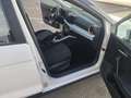 SEAT Arona 1.0 TSI S&S Style Special Edition 115 Blanco - thumbnail 10