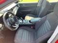 Alfa Romeo Stelvio Stelvio 2020 2.2 t Business Q4 190cv auto Rojo - thumbnail 13