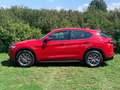 Alfa Romeo Stelvio Stelvio 2020 2.2 t Business Q4 190cv auto Rojo - thumbnail 8