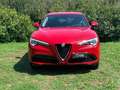 Alfa Romeo Stelvio Stelvio 2020 2.2 t Business Q4 190cv auto Rojo - thumbnail 3
