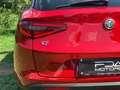 Alfa Romeo Stelvio Stelvio 2020 2.2 t Business Q4 190cv auto Rojo - thumbnail 9