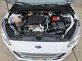 Ford Focus 1.5 Ecoblue Trend+ 120 Blanco - thumbnail 25