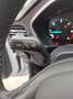 Ford Focus 1.5 Ecoblue Trend+ 120 Blanco - thumbnail 15