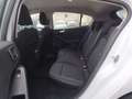 Ford Focus 1.5 Ecoblue Trend+ 120 Blanco - thumbnail 7