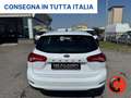 Ford Focus 1.5 ECOBLUE 120CV SW N1 AUTOCARRO-NAVI-SENSORI+IVA Bianco - thumbnail 6