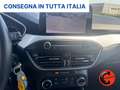 Ford Focus 1.5 ECOBLUE 120CV SW N1 AUTOCARRO-NAVI-SENSORI+IVA Bianco - thumbnail 13