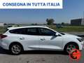 Ford Focus 1.5 ECOBLUE 120CV SW N1 AUTOCARRO-NAVI-SENSORI+IVA Bianco - thumbnail 3