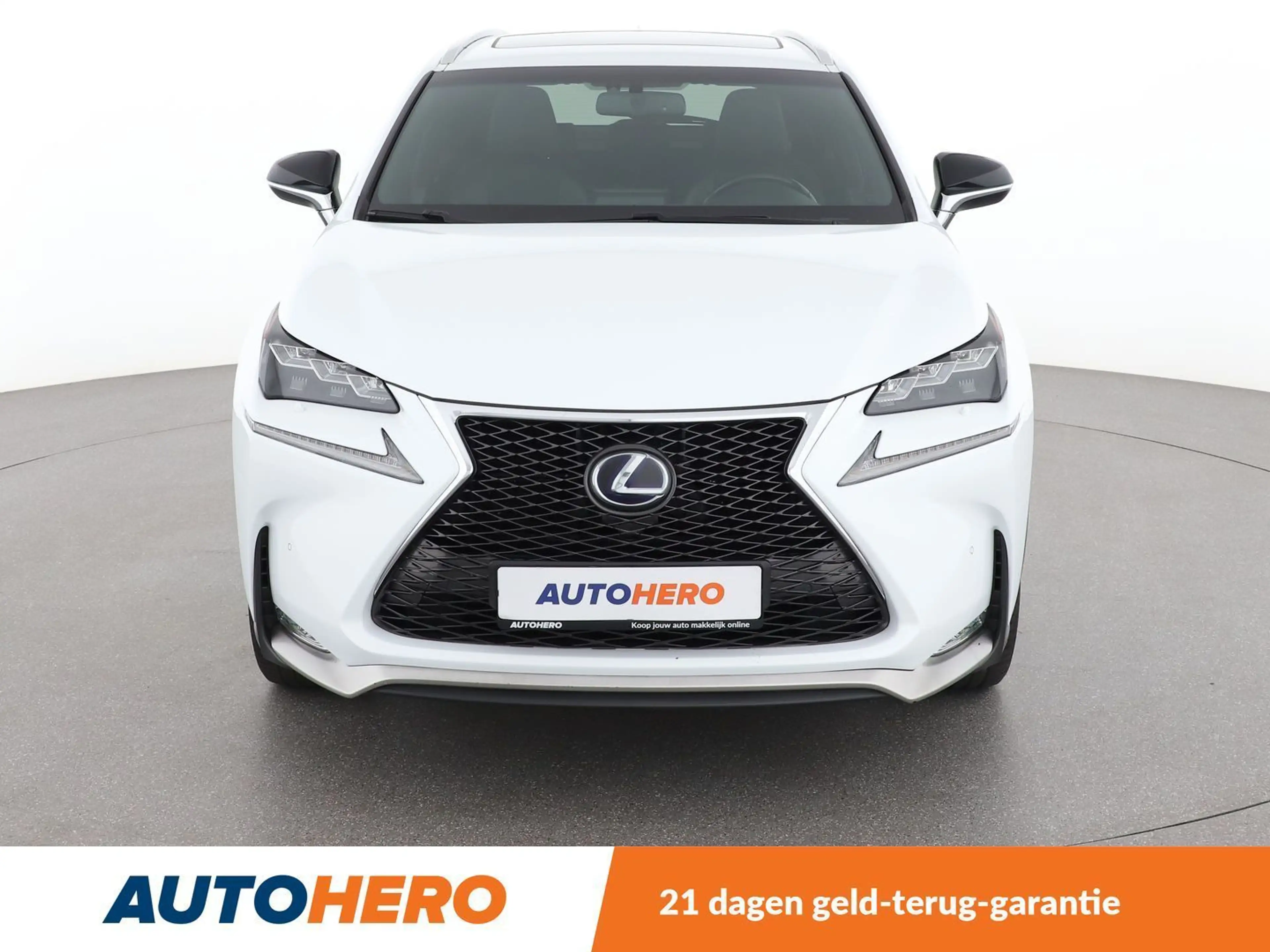 Lexus NX 300h NX 300h E-Four F Sport — photo 9