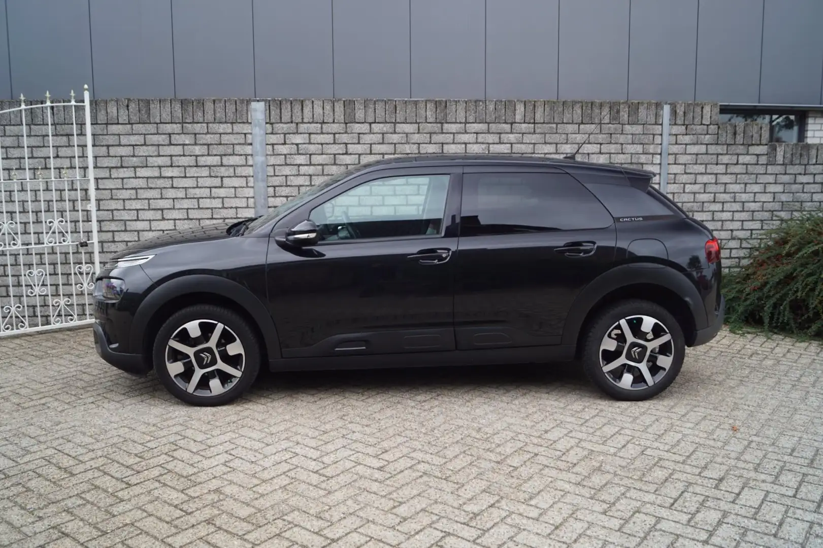 Citroen C4 Cactus 1.2 PureTech Shine Autom Panodak Navi Camera Clima Negro - 2
