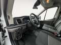 Ford Transit  Kofferaufbau | L4 350 | Ladebordwand | s Weiß - thumbnail 13
