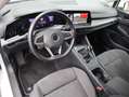 Volkswagen Golf VIII 1.5 TSI Navi LED ACC Kam Massage DAB Weiß - thumbnail 8