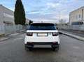 Land Rover Discovery Sport 2.0d td4 mhev S awd 163cv auto Bianco - thumbnail 5