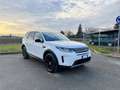 Land Rover Discovery Sport 2.0d td4 mhev S awd 163cv auto Bianco - thumbnail 3