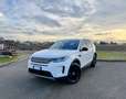 Land Rover Discovery Sport 2.0d td4 mhev S awd 163cv auto Bianco - thumbnail 1