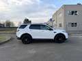 Land Rover Discovery Sport 2.0d td4 mhev S awd 163cv auto Bianco - thumbnail 4