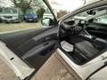 Peugeot 3008 ALUURE PACK DISTRIBUZIONE SOSTITUITA Wit - thumbnail 24