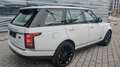 Land Rover Range Rover 3.0 V6|Leder-beige|Pano|22" Blanco - thumbnail 9