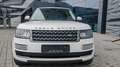 Land Rover Range Rover 3.0 V6|Leder-beige|Pano|22" Blanco - thumbnail 17