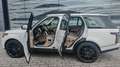 Land Rover Range Rover 3.0 V6|Leder-beige|Pano|22" Blanco - thumbnail 1