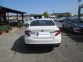 Fiat Tipo Tipo 4p 1.6 mjt Mirror 120cv Bianco - thumbnail 7