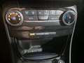 Ford Puma 1.0 EcoBoost MHEV ST-Line X 125 Gris - thumbnail 20