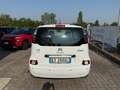 Citroen C3 Picasso C3 Picasso 1.6 HDi 90 Exclusive Bianco - thumbnail 6