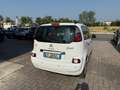 Citroen C3 Picasso C3 Picasso 1.6 HDi 90 Exclusive Bianco - thumbnail 4