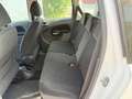 Citroen C3 Picasso C3 Picasso 1.6 HDi 90 Exclusive Weiß - thumbnail 16