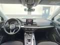 Audi Q5 Q5 2.0 TDI quattro S tronic Business Sport Nero - thumbnail 15