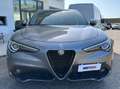 Alfa Romeo Stelvio Stelvio 2.2 t Business Q4 180cv auto Grigio - thumbnail 13