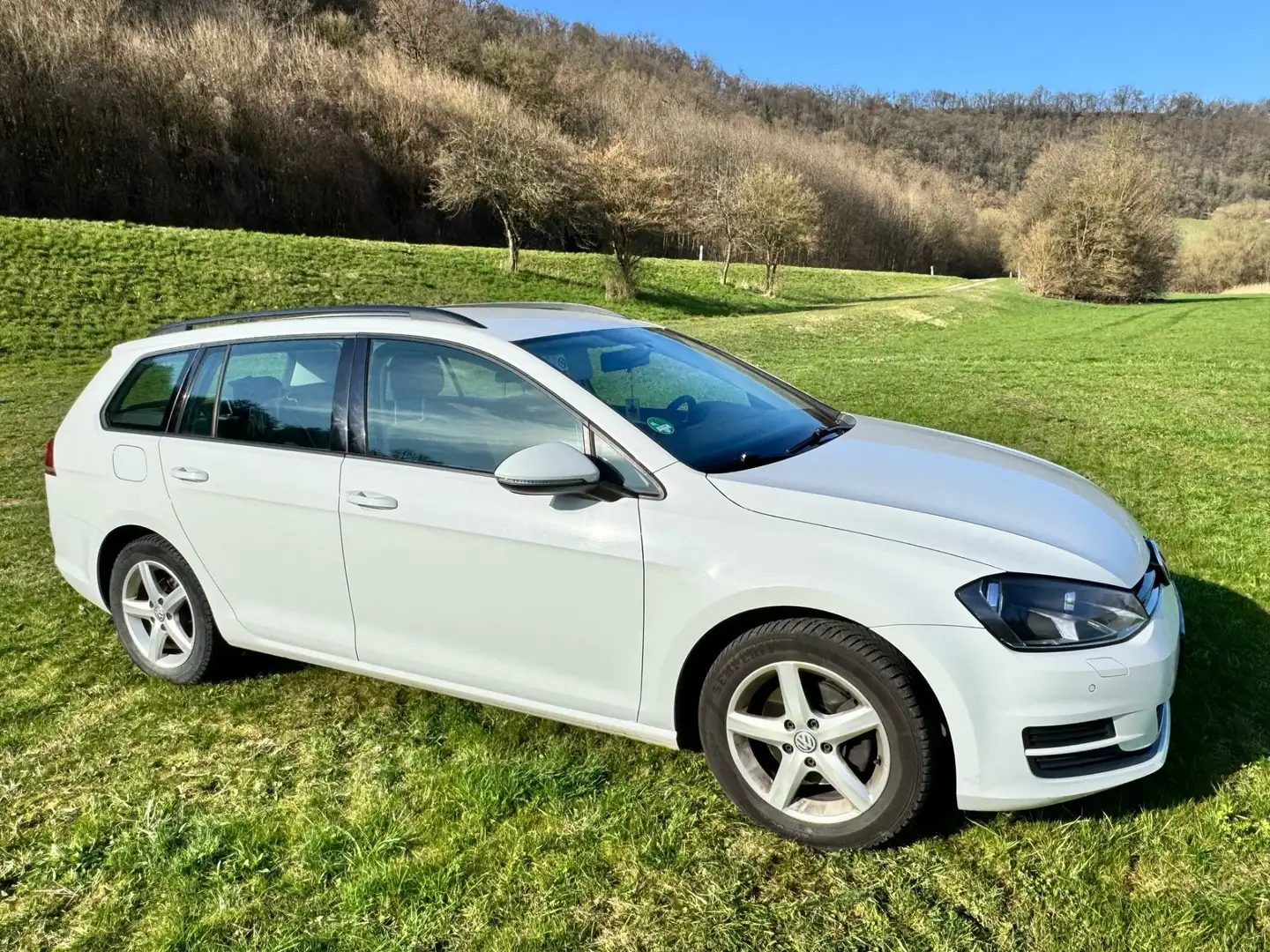 Volkswagen Golf Variant 1.6 TDI 4Motion BlueMotion Technology Allstar - 2