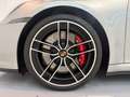 Porsche Carrera GT 4S Grau - thumbnail 31