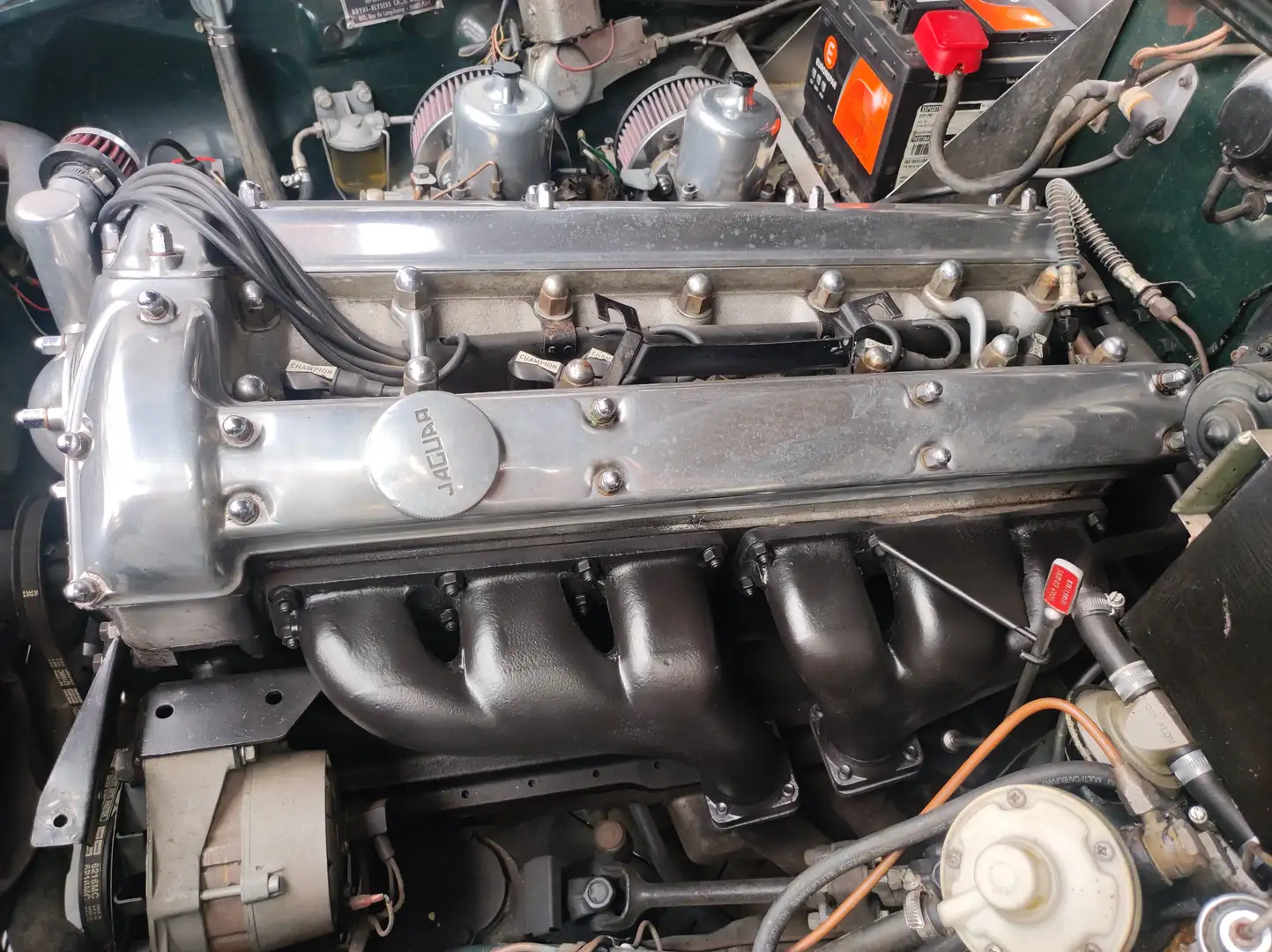 Jaguar 420 Zielony - 1