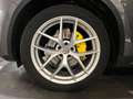 Alfa Romeo Stelvio 2.2 Turbodiesel 210 CV AT8 Q4 Executive Grau - thumbnail 19