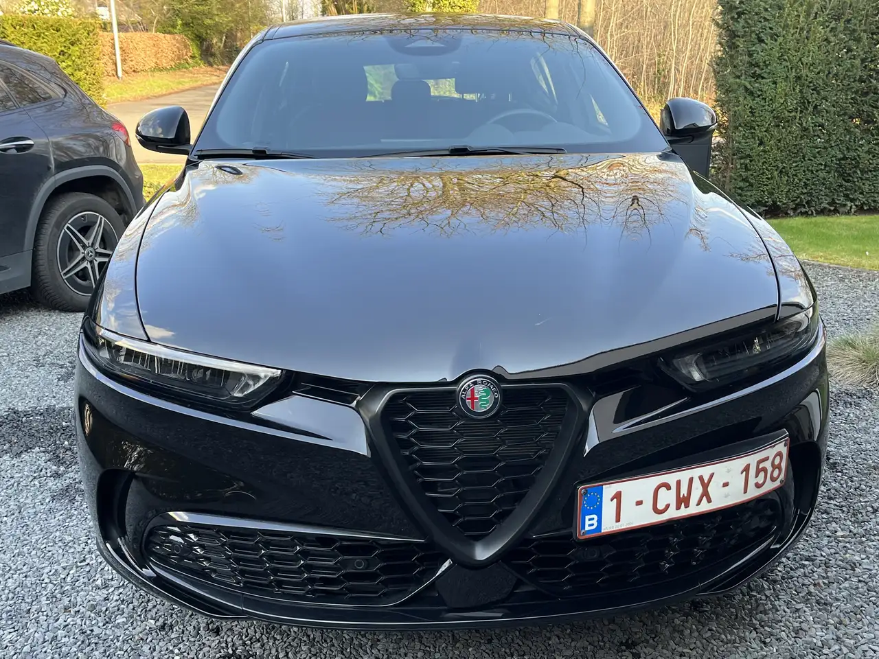 Alfa Romeo Tonale 2023 — фото 6