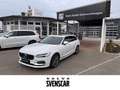 Volvo V90 Inscription AWD D5 DPF EU6d-T AHK Navi Leder Digit Bianco - thumbnail 1
