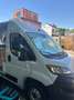 Fiat Ducato Ducato Panorama 33 2.2Mjt L2 H2 140CV Blanco - thumbnail 42