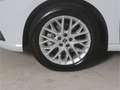 SEAT Ibiza 1.0 TSI DSG XCELLENCE NAV/LED/DINAMICA/RFK Weiß - thumbnail 9