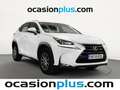 Lexus NX 300 300h Business Navigation 2WD Blanco - thumbnail 2