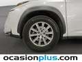 Lexus NX 300 300h Business Navigation 2WD Blanco - thumbnail 43