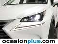 Lexus NX 300 300h Business Navigation 2WD Blanco - thumbnail 15