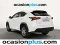 Lexus NX 300 300h Business Navigation 2WD Blanco - thumbnail 4