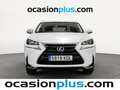 Lexus NX 300 300h Business Navigation 2WD Blanco - thumbnail 14